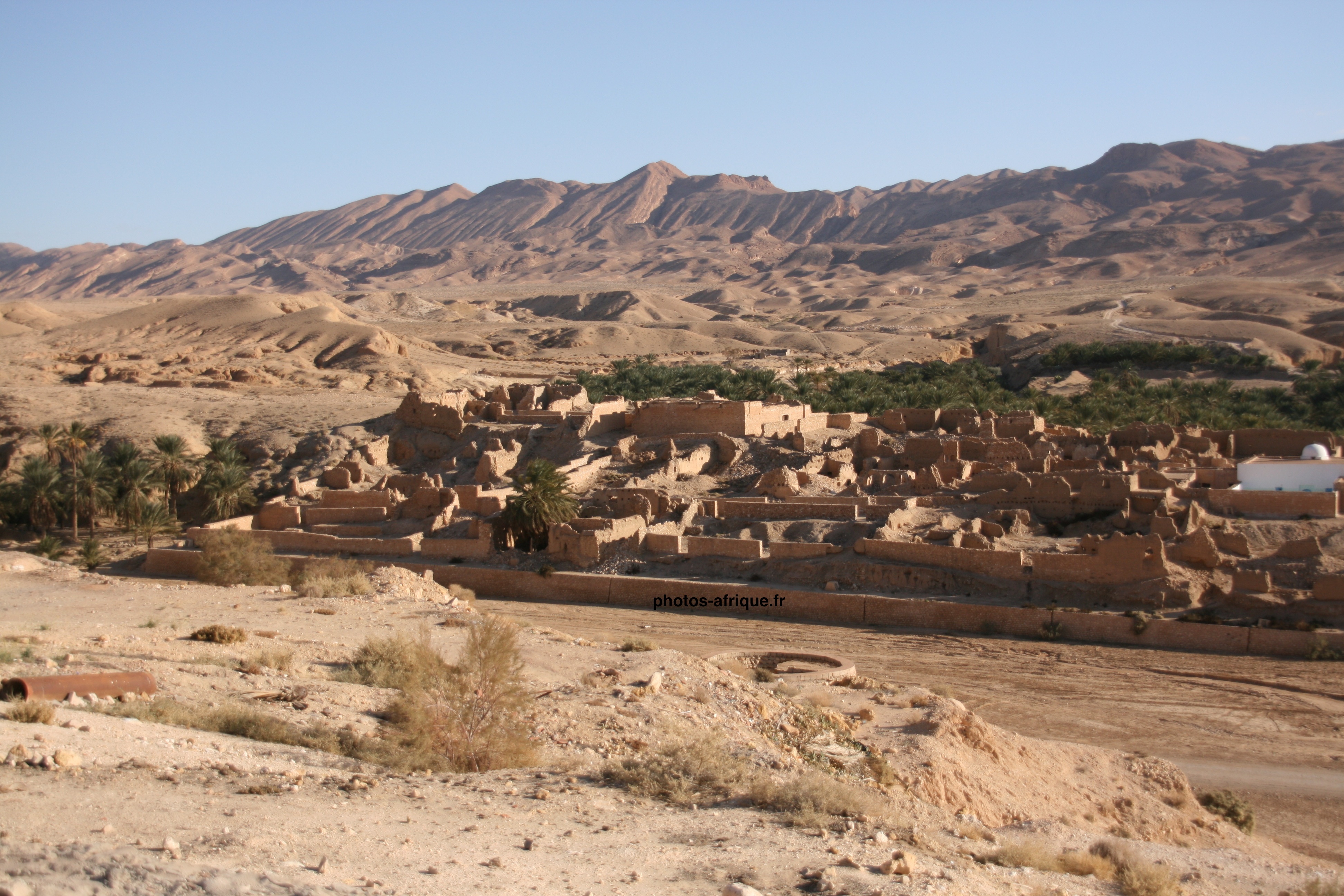 بلدية تمغزة