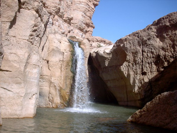 بلدية تمغزة
