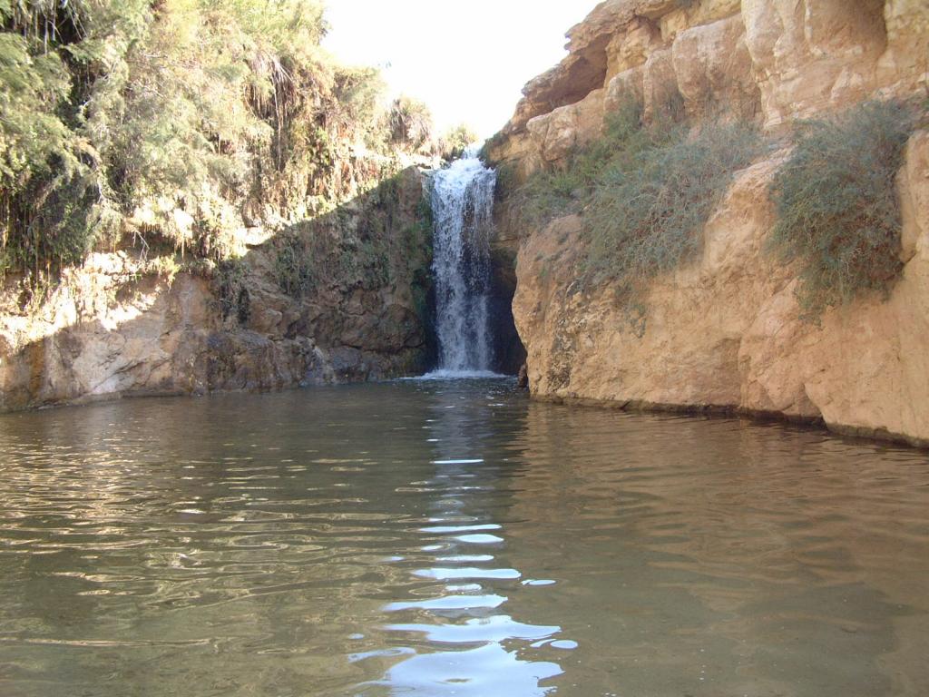 بلدية تمغزة