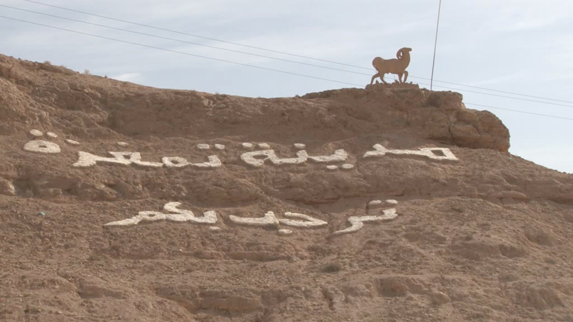 بلدية تمغزة